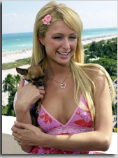 paris-hilton